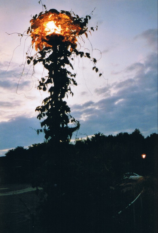 Lichtbringende Natur (Halle, Salinepark 2003)