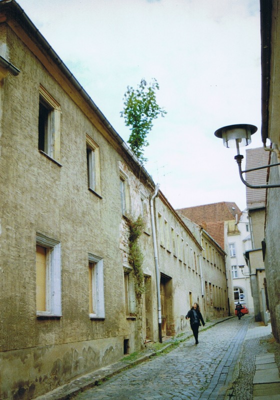 Torgau Neustraße (2002). Die Baugeschichte des privaten Wohnhauses, auf dessen Dach der Baum wächst, geht bis in das 16. Jahrhundert zurück. Besonders Birken gedeihen oft über Jahre auf Dächern und in Dachrinnen leer stehender Häuser.